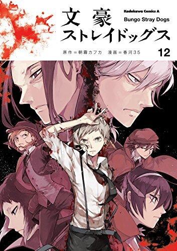 文豪ストレイドッグス 12 [Bungō Stray Dogs 12]