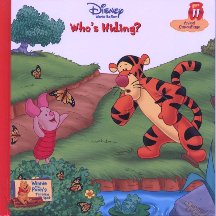 Who's Hiding? Camouflage
