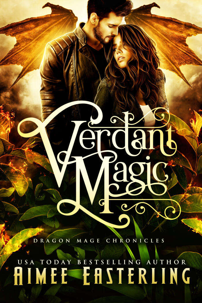 Dragon Mage Chronicles