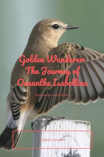 Oenanthe isabellina