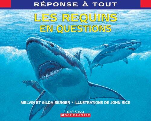 Les requins en questions