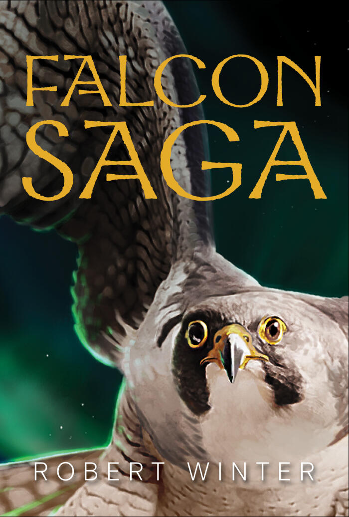 Falconsaga