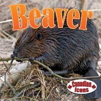 Beaver