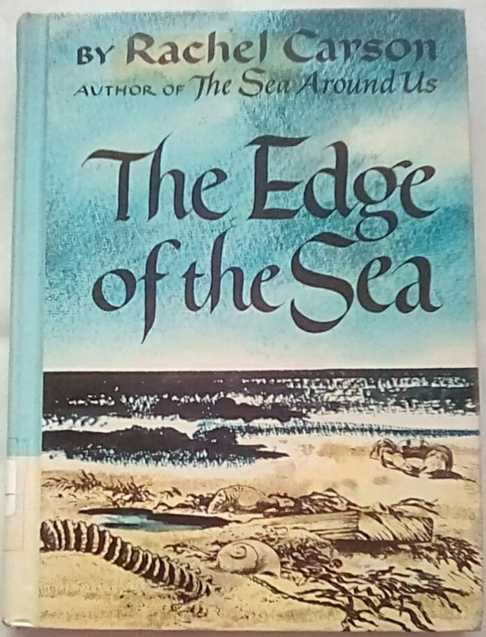 The Edge of the Sea