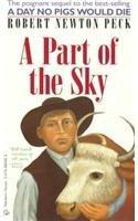 A Part of the Sky