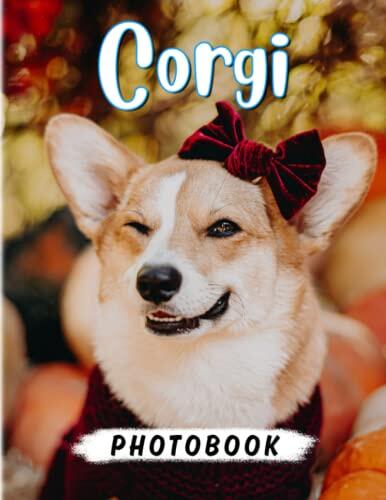Corgi Photobook: Small Type of Herding Dog Picture Pages for Pets Lover | With 40 Illustrations Pages for Girls, Boys Relaxation