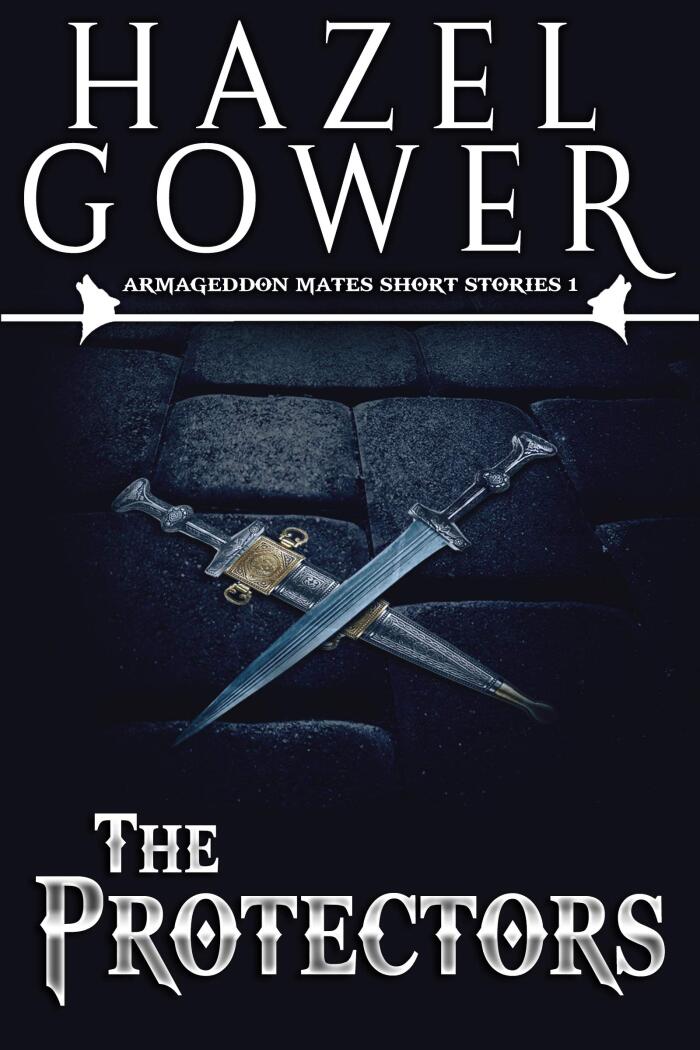 The Protectors Volume 1