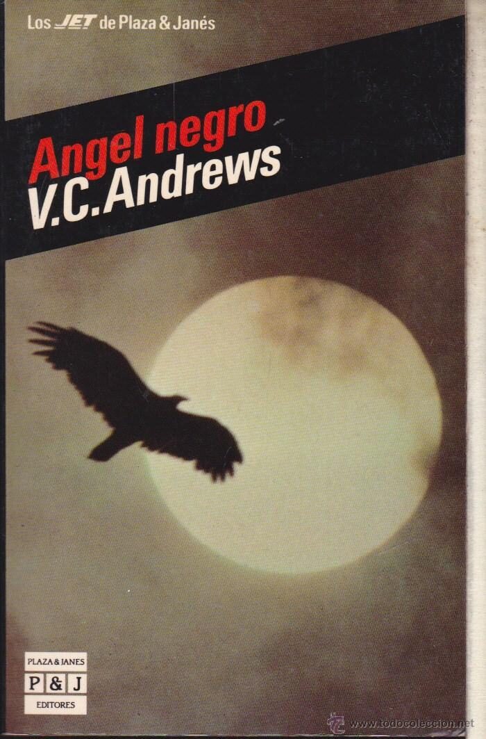 Angel negro