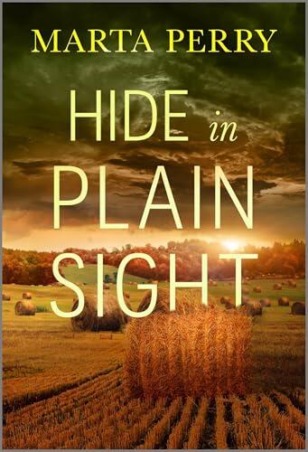 Hide in Plain Sight: A Thrilling Amish Mystery