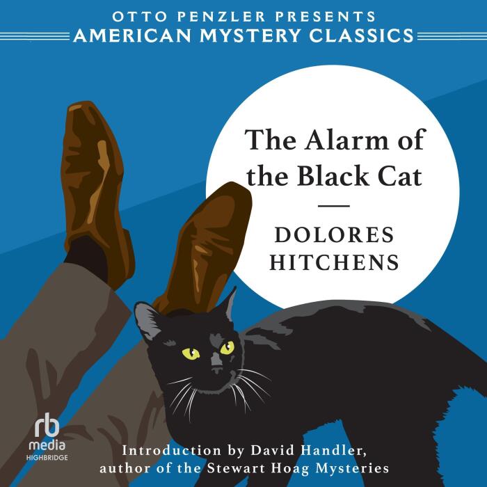 The Alarm of the Black Cat: Rachel Murdock Mysteries, Book 2