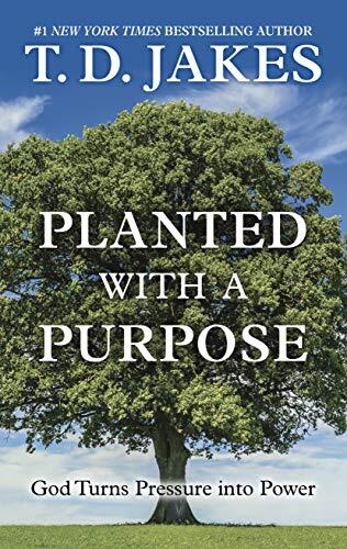 Planted With a Purpose: God Turns Pressure Into Power