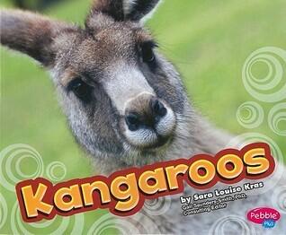 Kangaroos