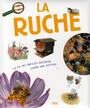 La Ruche: La Vie Des Abeilles Racontée Comme Une Histoire
