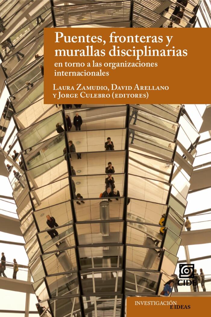 Puentes, Fronteras e Murallas Disciplinarias: En Torno a las Organizaciones Internacionales