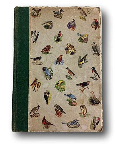 Rare American Birds in Color