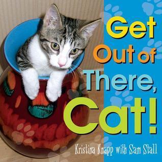 Get Out of There, Cat!