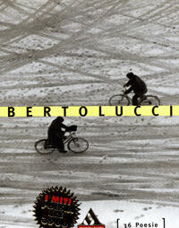 36 poesie
