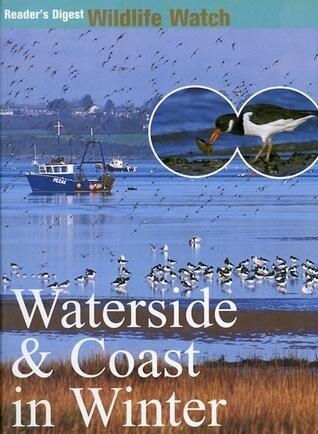 Waterside & Coast in Winter