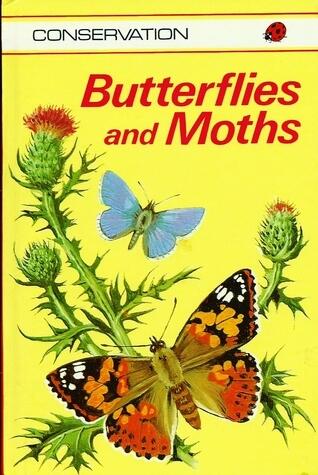 Butterflies and Moths