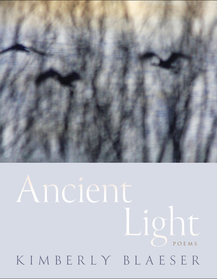 Ancient Light: Poems (Volume 94)