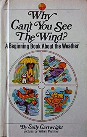 Why Can't You See the Wind? A Beginning Book About the Weather