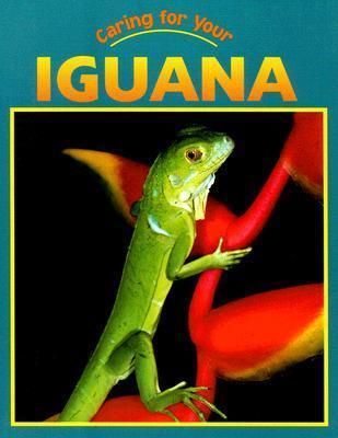 Caring For Your Iguana