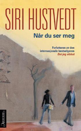 Når du ser meg