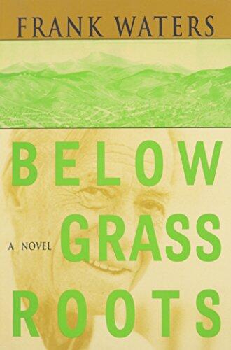 Below Grass Roots: A Novel