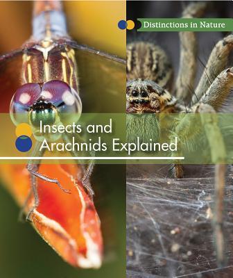 Insects and Arachnids Explained (2)