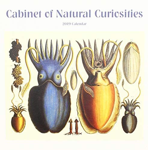 Cabinet of Natural Curiosities 2019 Cale