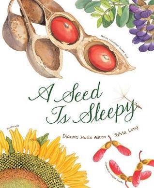 A Seed Is Sleepy
