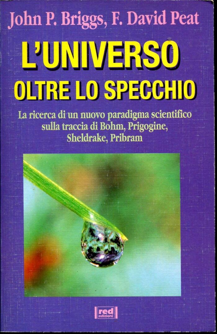 L'universo oltre lo specchio