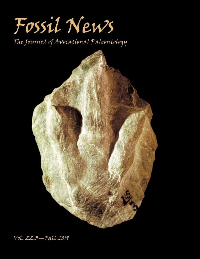 Fossil News: The Journal of Avocational Paleontology: Volume 22.3