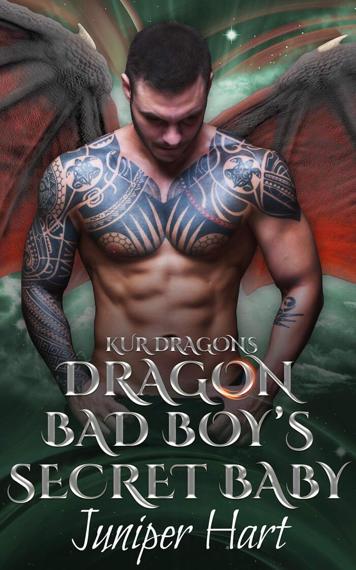 Dragon Bad Boy's Secret Baby