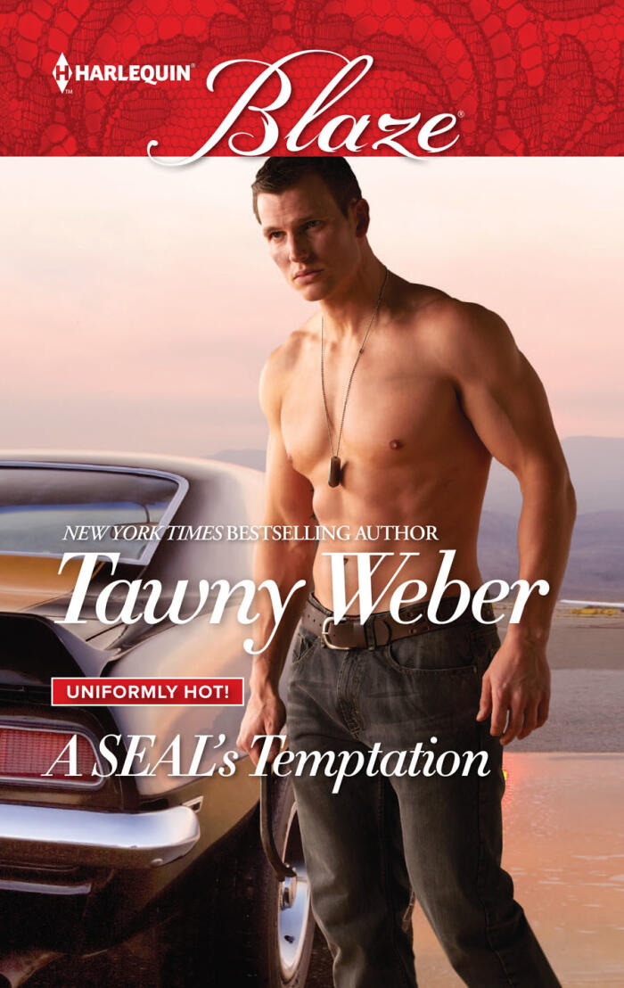 A SEAL's Temptation