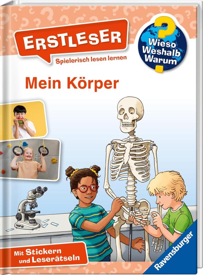 Mein Körper
