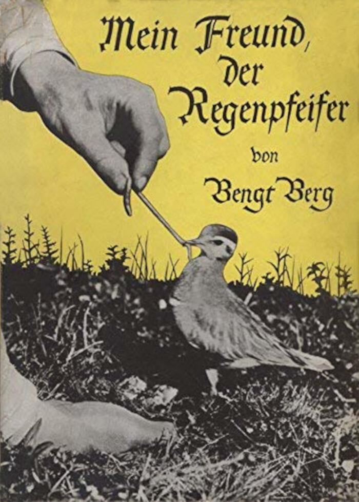 Mein Freund, der Regenpfeifer