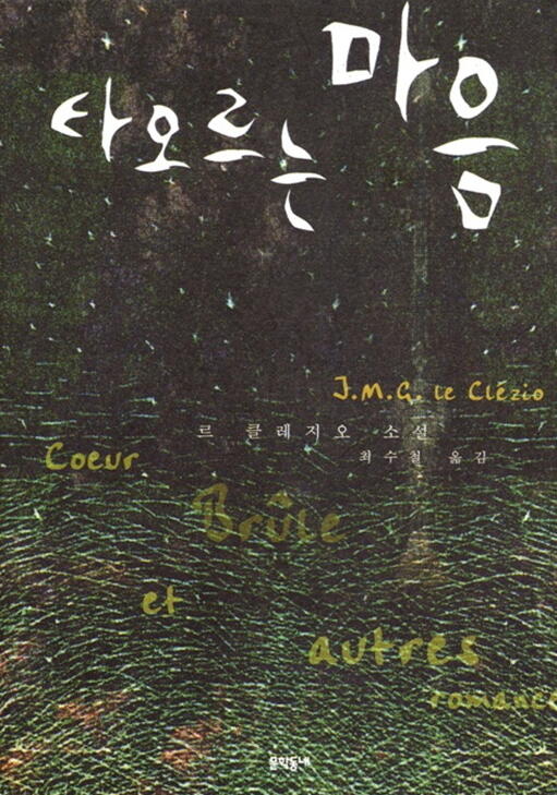 타오르는 마음