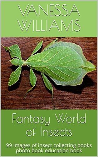 Fantasy World of Insects: 99 images of insect collecting books photo book education book