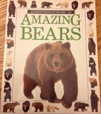 Amazing Bears