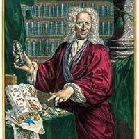 Albertus Seba