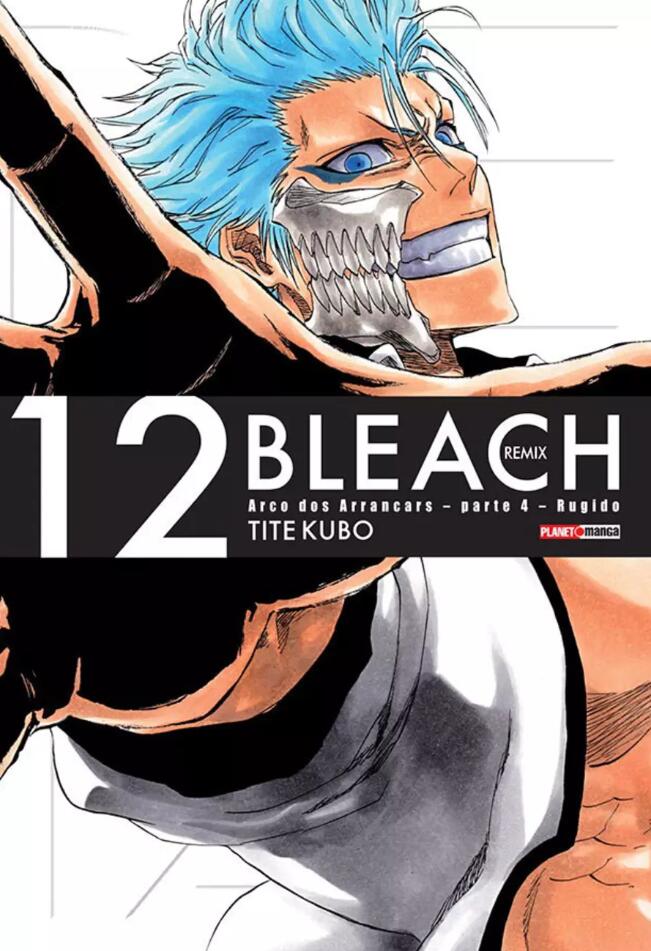 Bleach Remix, Vol. 12