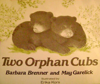 Two Orphan Cubs