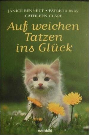 Auf weichen Tatzen ins Glück