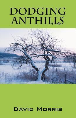 Dodging Anthills