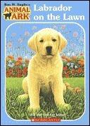 Labrador on the Lawn
