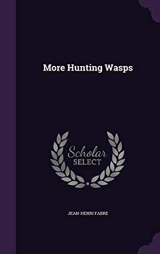 More Hunting Wasps