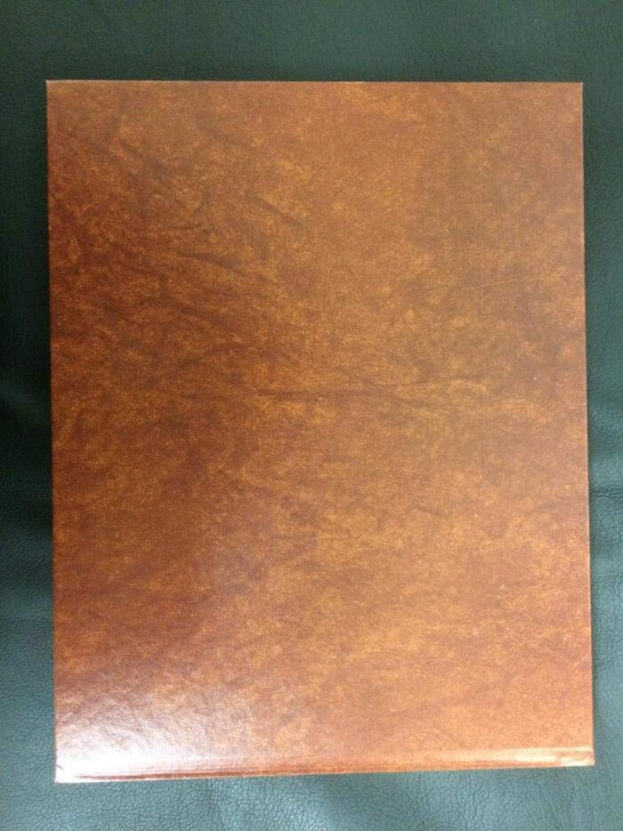 Wash Tubbs and Captain Easy, 1934-1935, Vol. 9