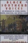 Black Southern Voices: An Anthology
