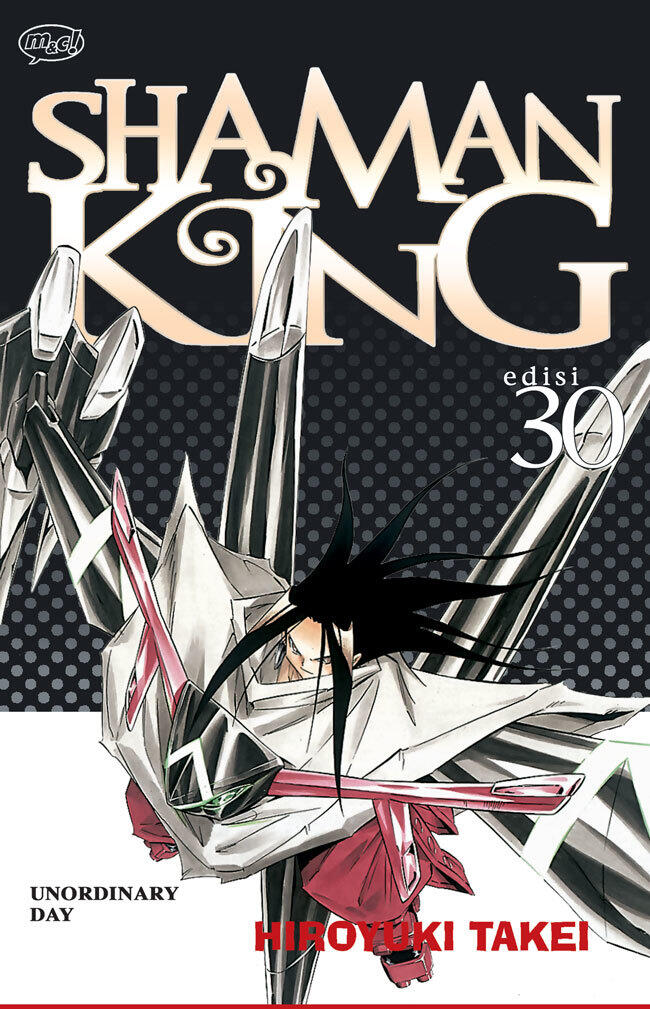 Shaman King Vol. 30: Unordinary Day